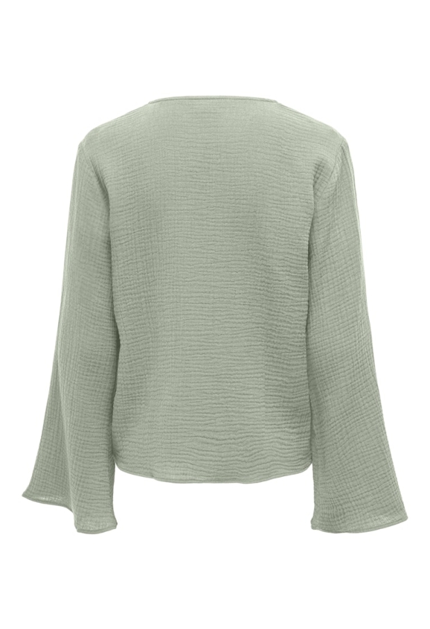 15341079 Desert Sage