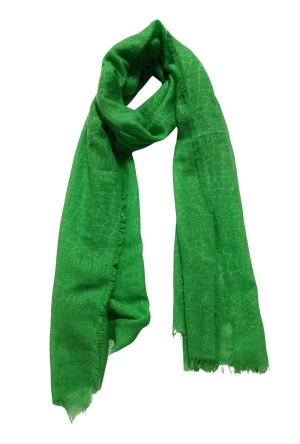 Private label SCF014782C APPEL GROEN  apple