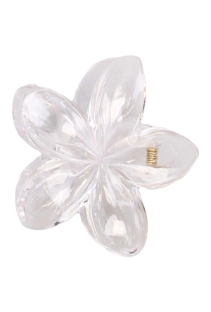 Private label hbw025541 zilver  transparant