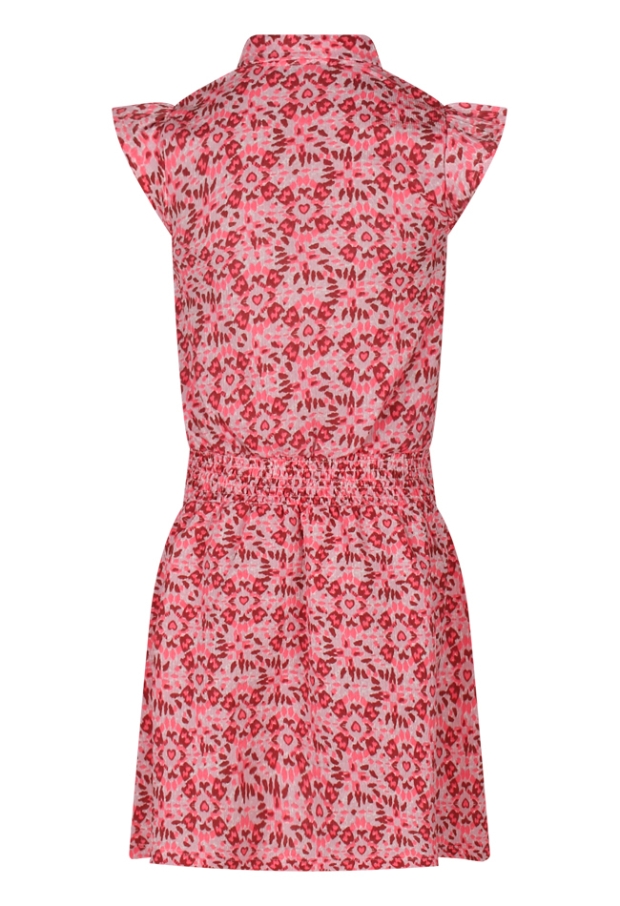 Z90054/3010703 koraal 