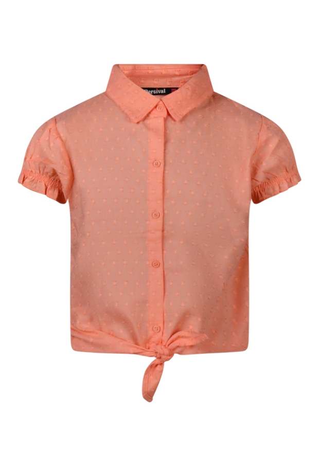 Z90092/3010504 FEL KORAAL