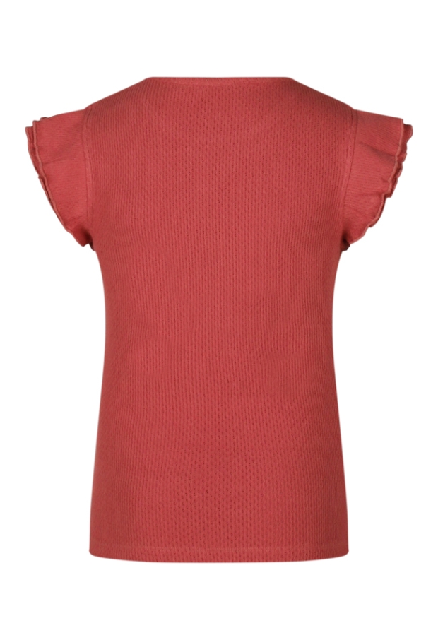 Z90098/3010622 terra