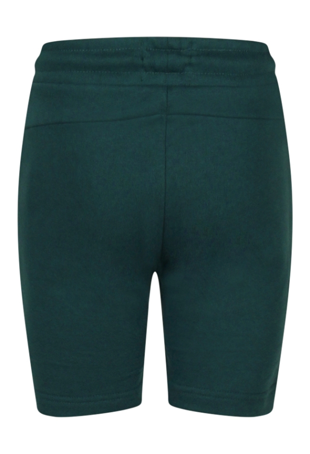 Z90295/Silas A smaragd