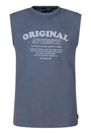 Stonecast Z90724/M51SL-04 RAF  raf