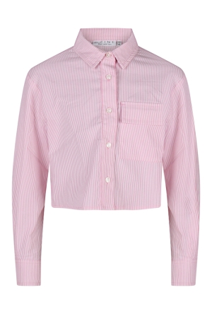 D-zine Z90028/Sina ROSE  pink