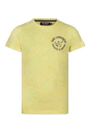 Unlocked Z90276/Joe lime  sunny lime