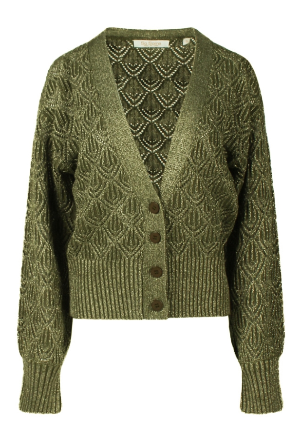 Z90610/Sonny Khaki 1 