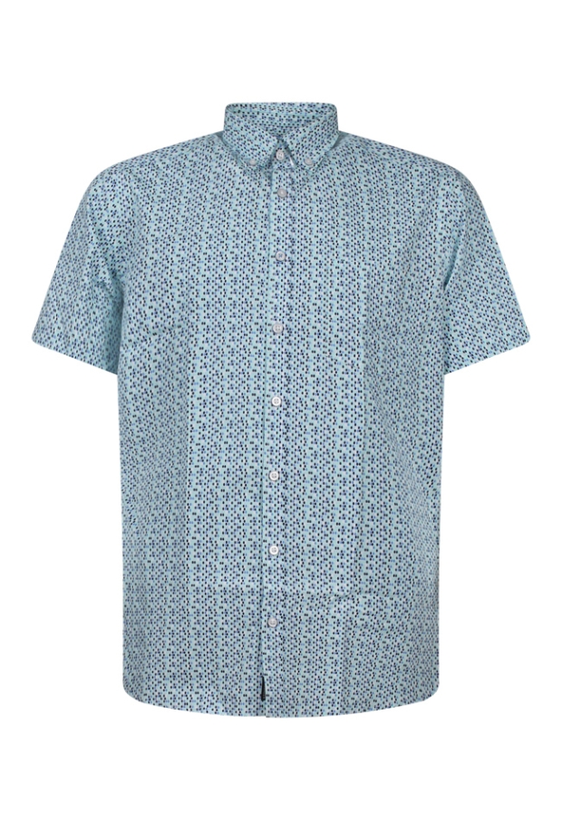 Z90619/Erwin mint groen 