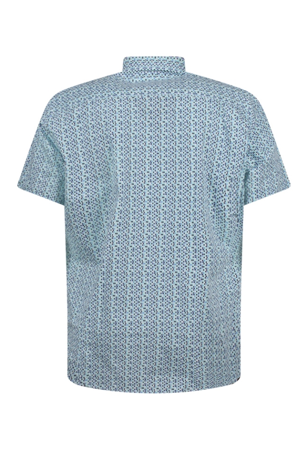 Z90619/Erwin mint groen 