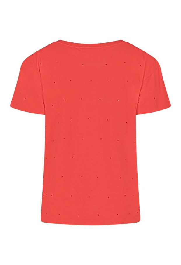 Z90472/213723 koraal 