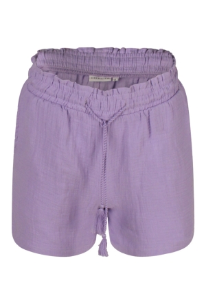 Citylife Z90476/601932 DONKER LILA  sunlit allium