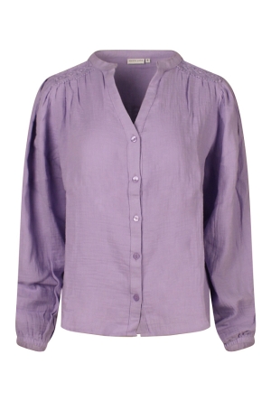 Citylife Z90480/103410 DONKER LILA  sunlitt allium