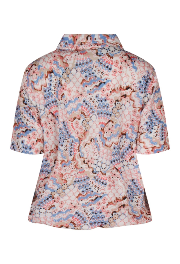 Z90666/Cecilia abrikoos 