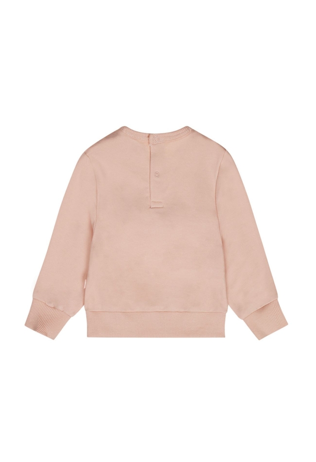 P54320-35 LICHT ROOD