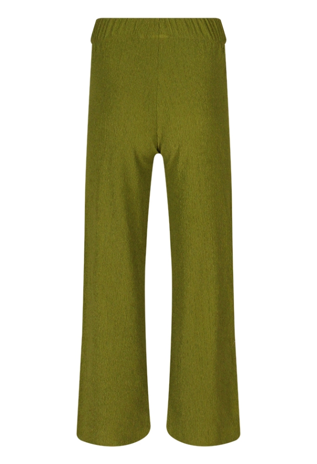 Z90694/CX20163R2 KIWI 