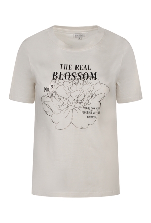 Citylife Z90707/LW93386 Ecru 1  snow white