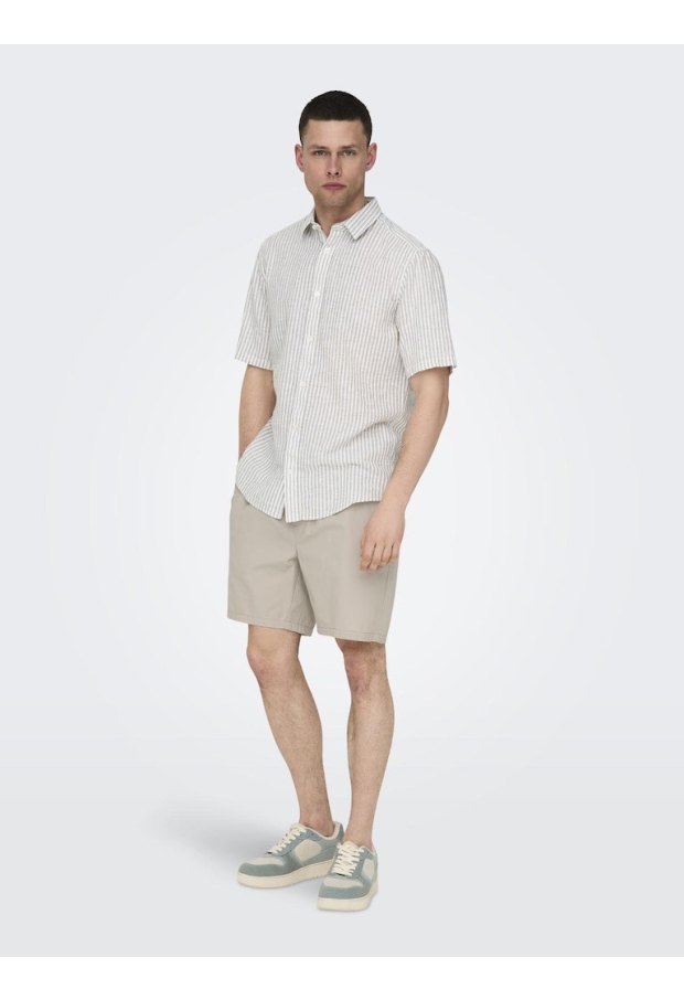 22027949 Silver Lining