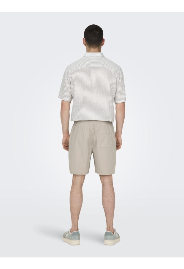 22027949 Silver Lining