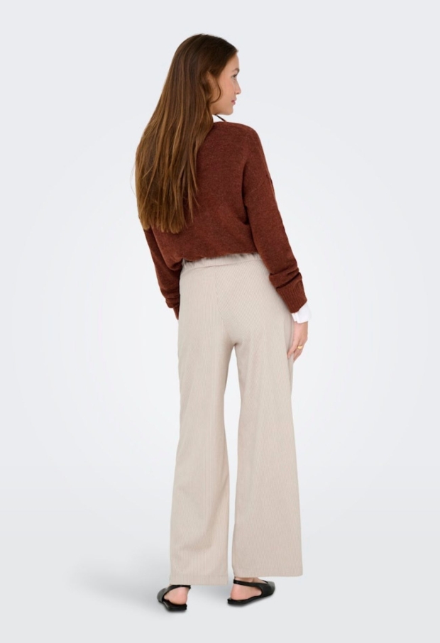 15357186 Pumice Stone 