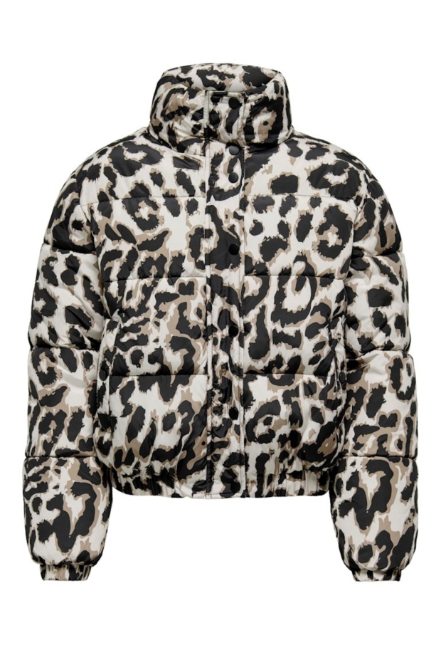 15353988 Moonbeam/TIGERS EYE-BLACK LEO 