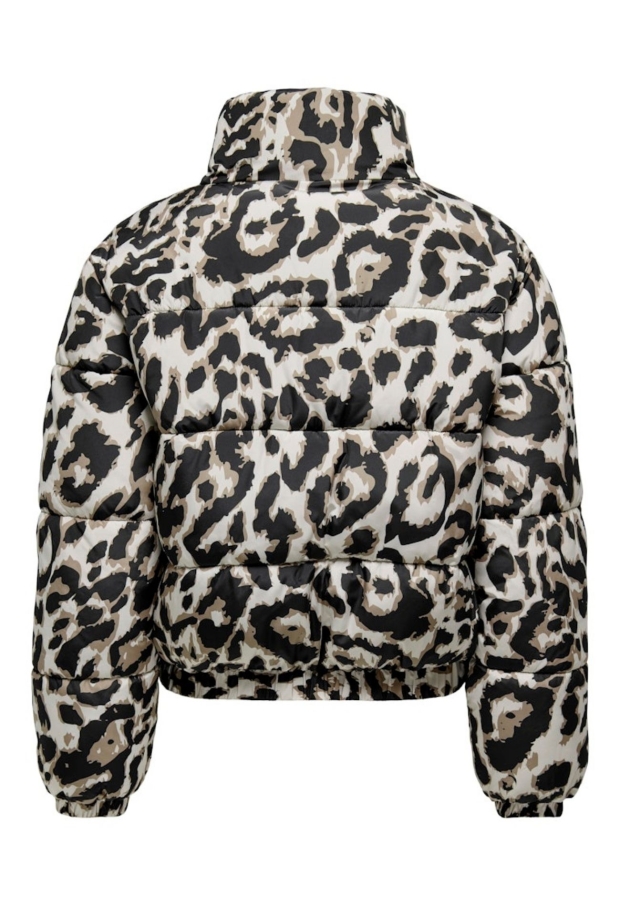 15353988 Moonbeam/TIGERS EYE-BLACK LEO 