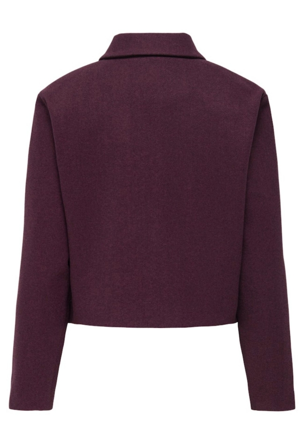 15311852 Fig/W. DTM LUREX 