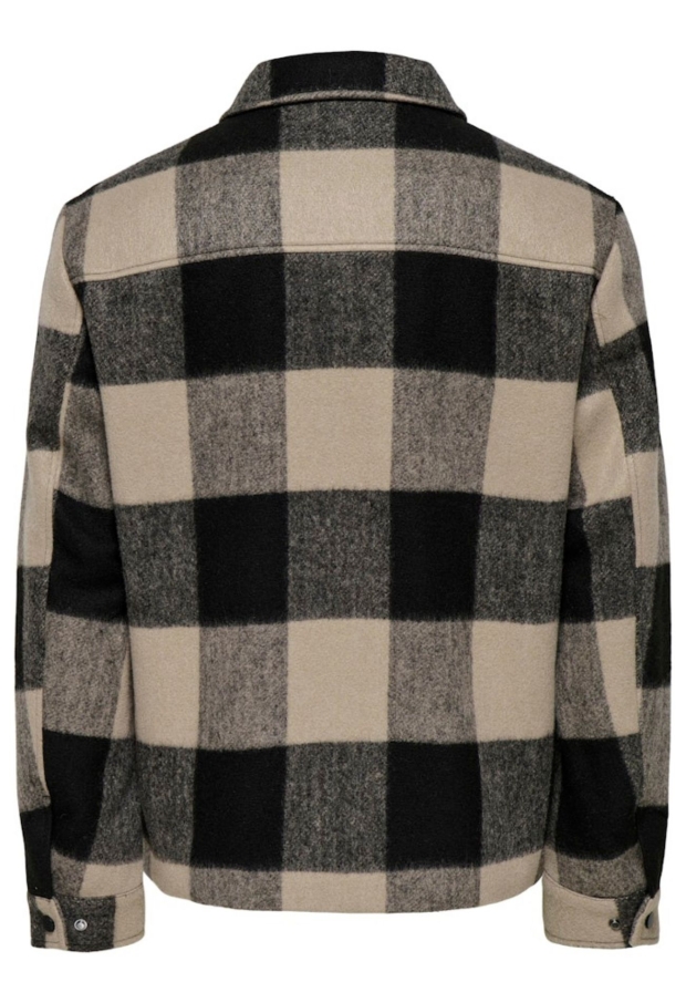 22034471 Silver Lining/EGRET 