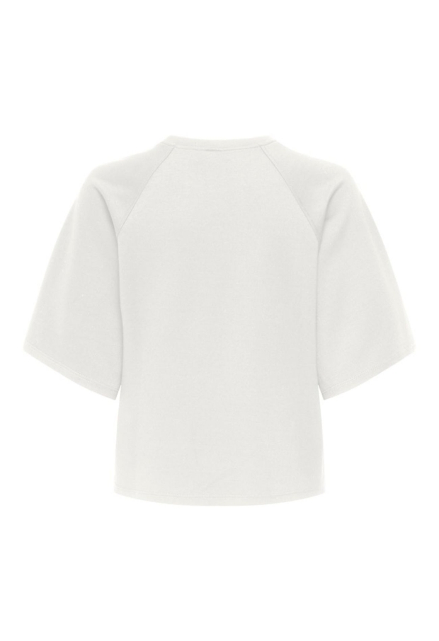 15356138 Cloud Dancer 