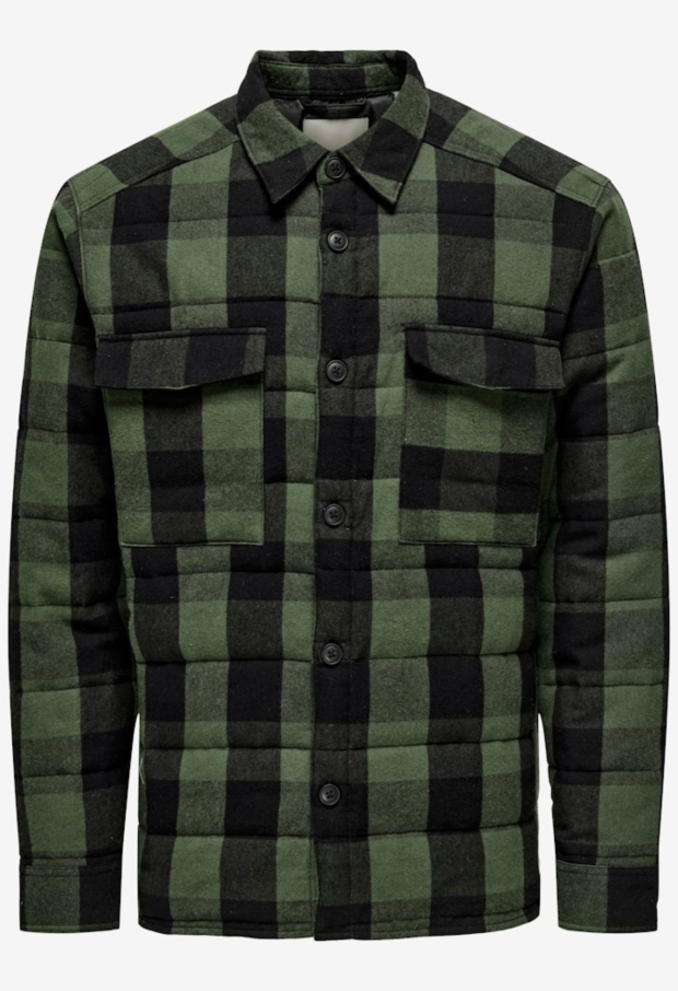 22035332 Forest Night 