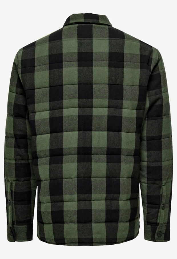 22035332 Forest Night 