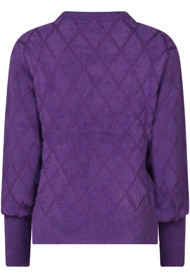 W10500/LSW7280125 paars 