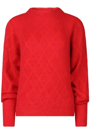 Citylife W10500/LSW7280125 ROOD  goji berry