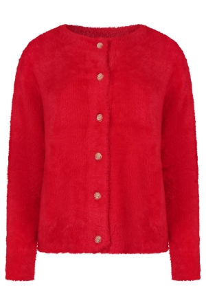 Citylife W10501/LSW7280126 ROOD  goji berry