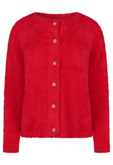 Citylife W10501/LSW7280126 ROOD  goji berry