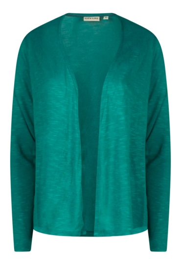 Citylife W10025/207424A petrol  fanfare