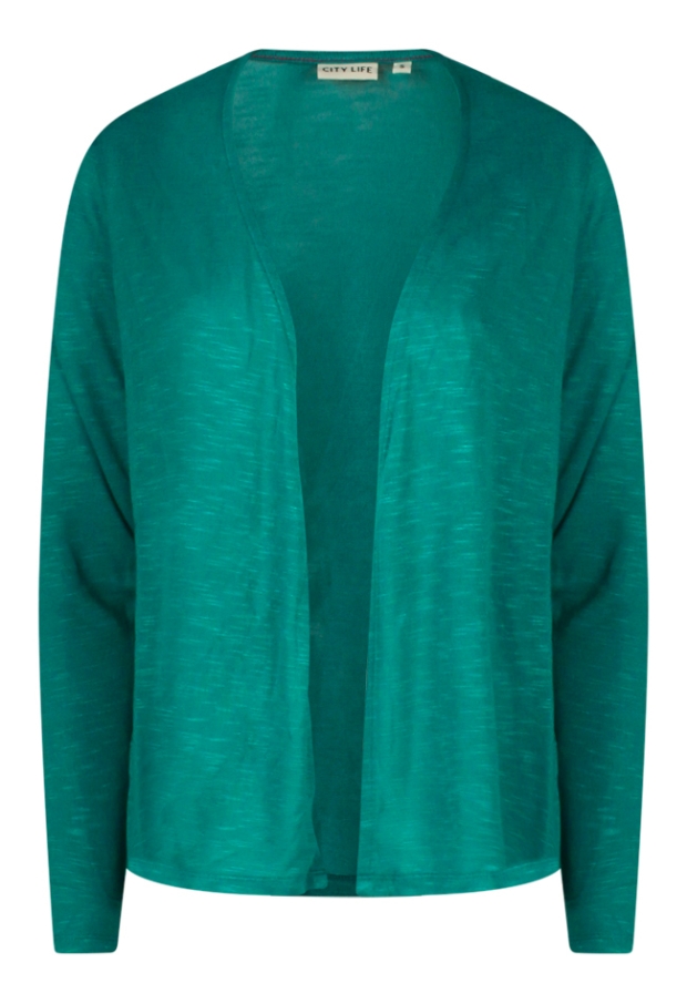 W10025/207424A petrol 