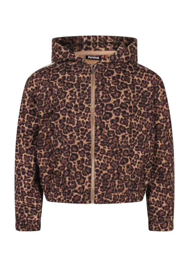 W10040/3110404 Bruin