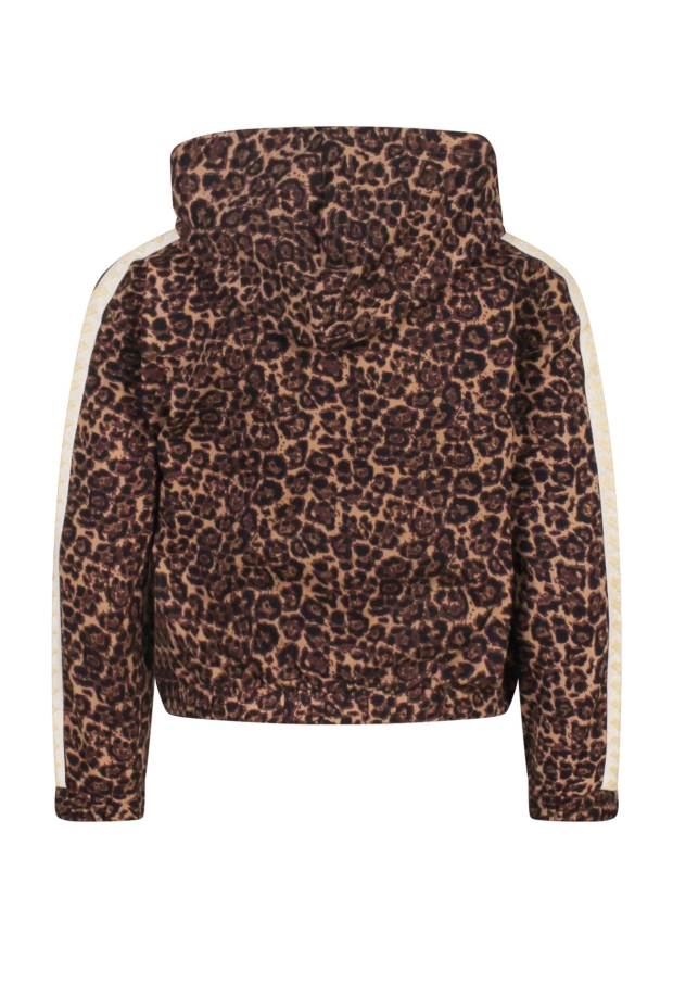 W10040/3110404 Bruin