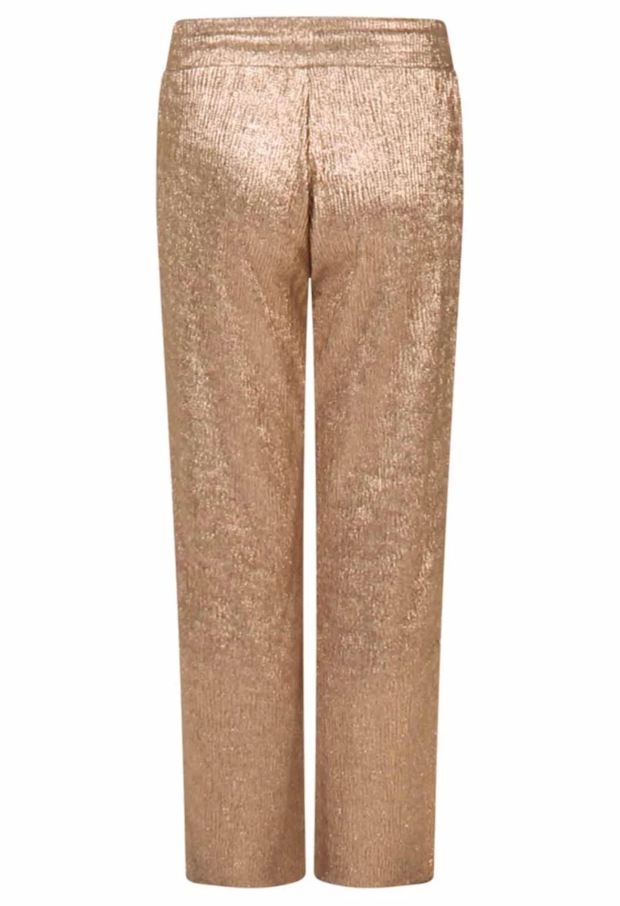 W10045/3110203 champagne 