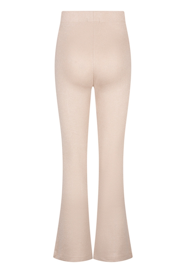 W10055/3110205 champagne 