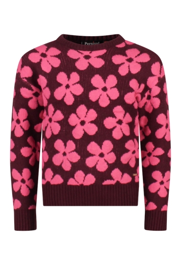 Persival W10057/3110302 grape  08.GRAPE.W25