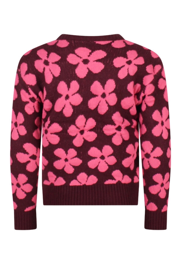 W10057/3110302 grape 