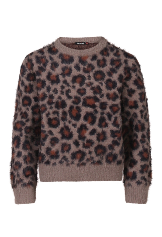 W10061/3110306 Bruin 