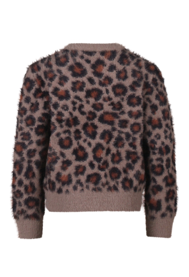 W10061/3110306 Bruin 