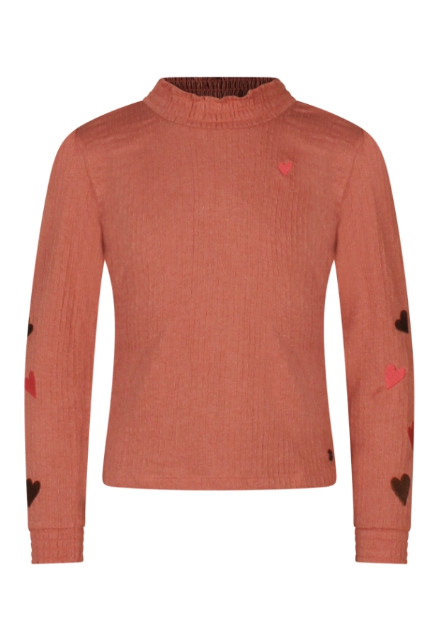 W10062/3110601 OUD ROSE 