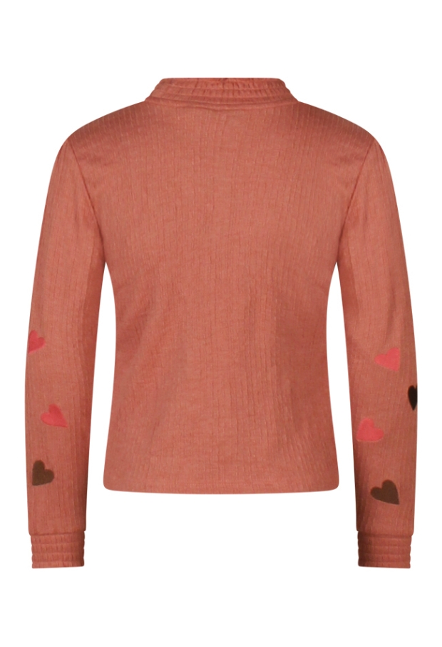 W10062/3110601 OUD ROSE 