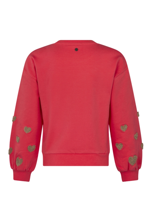 W10063/3110407 koraal