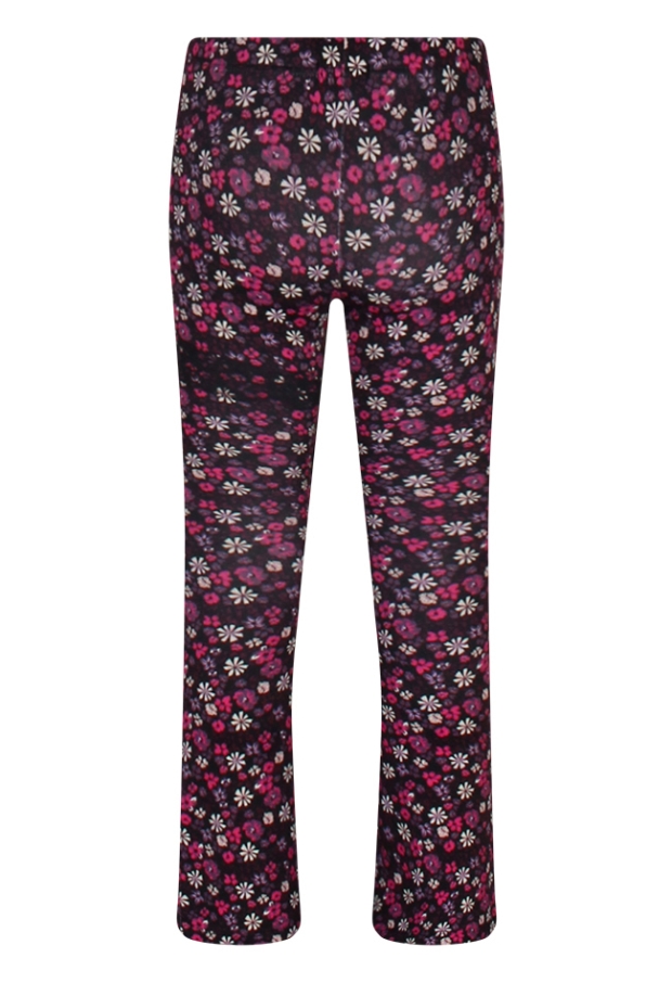 W10080/3110212 grape