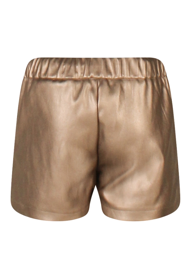 W10090/3110214 Brons