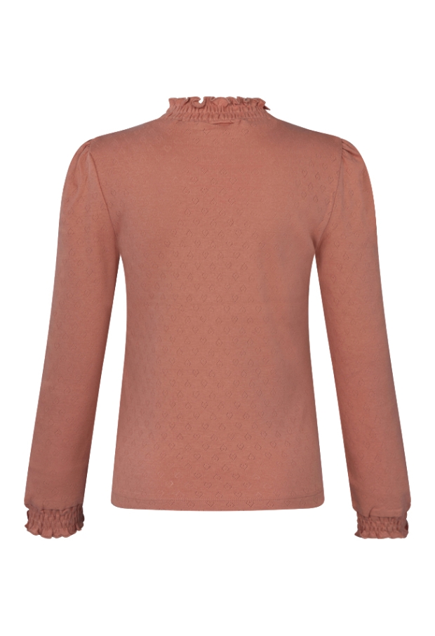 W10141/3110606 OUD ROSE 